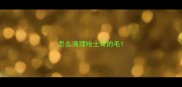 怎么清理哈士奇的毛