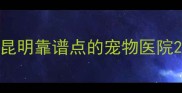 昆明靠谱点的宠物医院