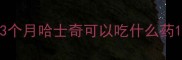 3个月哈士奇可以吃什么药