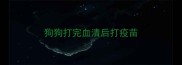 狗狗打完血清后打疫苗