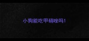 小狗能吃甲硝唑吗