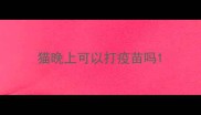 猫晚上可以打疫苗吗