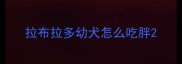 拉布拉多幼犬怎么吃胖