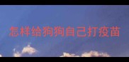 怎样给狗狗自己打疫苗