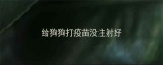 给狗狗打疫苗没注射好