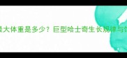 哈士奇最大体重是多少巨型哈士奇生长规律与饲养要点