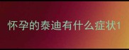 怀孕的泰迪有什么症状