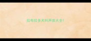 拉布拉多犬叫声音大全