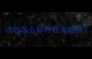 边牧怎么样打狂犬疫苗