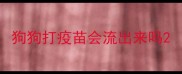 狗狗打疫苗会流出来吗