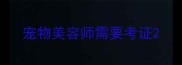 宠物美容师需要考证