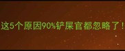 猫咪总掉指甲这5个原因90铲屎官都忽略了附正确护理攻略