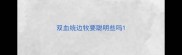 双血统边牧要聪明些吗