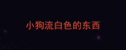 小狗流白色的东西