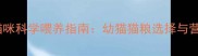 五个月大猫咪科学喂养指南幼猫猫粮选择与营养搭配全