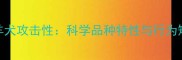 边境牧羊犬攻击性科学品种特性与行为矫正指南