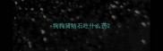 狗狗肾结石吃什么药