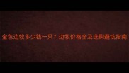 金色边牧多少钱一只边牧价格全及选购避坑指南