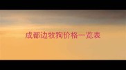 成都边牧狗价格一览表