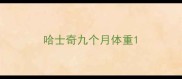 哈士奇九个月体重