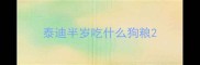 泰迪半岁吃什么狗粮