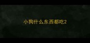 小狗什么东西都吃