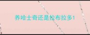 养哈士奇还是拉布拉多