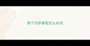 两个月萨摩耶怎么补钙