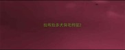 拉布拉多犬背毛特征