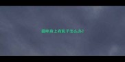 猫咪身上有虱子怎么办