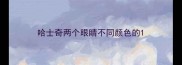 哈士奇两个眼睛不同颜色的