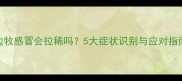 边牧感冒会拉稀吗5大症状识别与应对指南