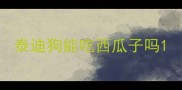 泰迪狗能吃西瓜子吗