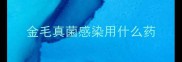 金毛真菌感染用什么药