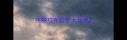 纯种拉布拉多犬幼崽