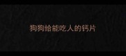 狗狗给能吃人的钙片