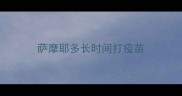 萨摩耶多长时间打疫苗