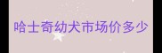 哈士奇幼犬市场价多少
