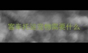 客车托运宠物需要什么