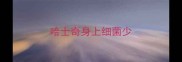 哈士奇身上细菌少