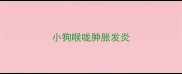 小狗喉咙肿胀发炎