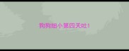 狗狗细小第四天吐