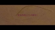 泰迪狗晚上几点睡觉