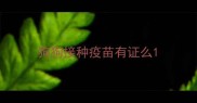 狗狗接种疫苗有证么