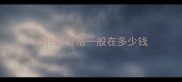 边牧的价格一般在多少钱