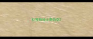 杜宾和哈士奇杂交