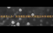 猫咪挑食怎么办资深兽医详解5大原因及科学调理方案