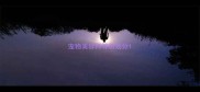 宠物美容师等级划分