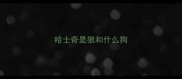 哈士奇是狼和什么狗