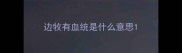 边牧有血统是什么意思